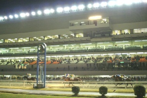 09年ナイター初日　内馬場から見たレース