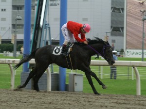 100709-川崎1R-2歳新馬４ハ-リックオンファイア