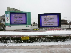 120229川崎競馬　雪のため中止-03.jpg