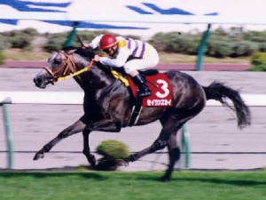 セイウンスカイ　1999年札幌記念優勝時