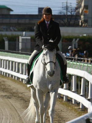 名古屋競馬の誘導馬　１