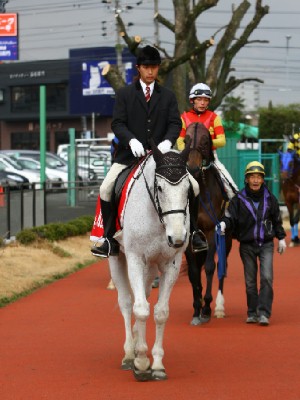 名古屋競馬の誘導馬　２