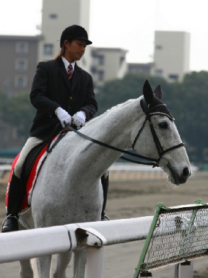 名古屋競馬の誘導馬　３