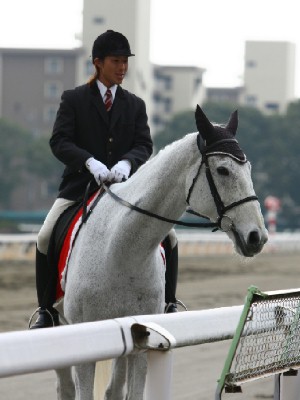 名古屋競馬の誘導馬　４
