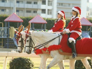 川崎競馬の誘導馬　クリスマス　２頭Ｖｅｒ　２