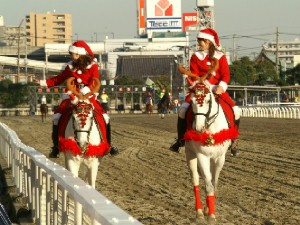 川崎競馬の誘導馬　クリスマス　２頭Ｖｅｒ　３