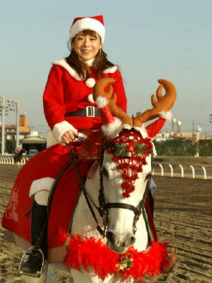 川崎競馬の誘導馬　クリスマス　２頭Ｖｅｒ　５
