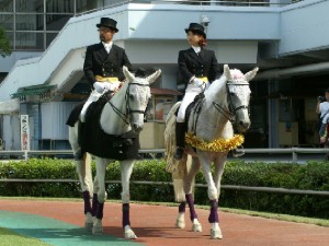 川崎競馬の誘導馬　増田騎手結婚式　登場時　１