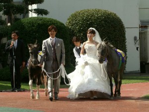 川崎競馬の誘導馬　増田騎手結婚式　登場時　４
