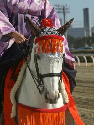 川崎競馬の誘導馬　正月和服Ｖｅｒ　トーチくん４