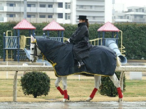 川崎競馬の誘導馬　雨の日　デフォルト