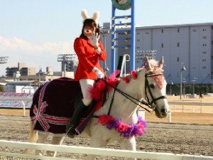 川崎競馬の誘導馬　１月開催　うさぎＶｅｒ　ユーちゃん　１