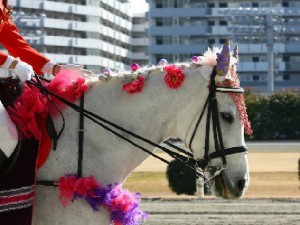 川崎競馬の誘導馬　１月開催　うさぎＶｅｒ　ユーちゃん　２