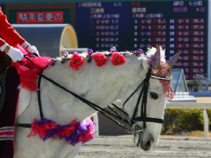 川崎競馬の誘導馬　１月開催　うさ耳Ｖｅｒ　トーチくん　４