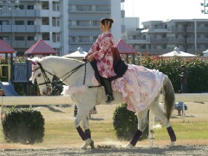 川崎競馬の誘導馬　１月開催　ドレスＶｅｒ　２