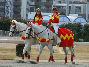 川崎競馬の誘導馬　１月開催　佐々木竹見カップＶｅｒ　その１