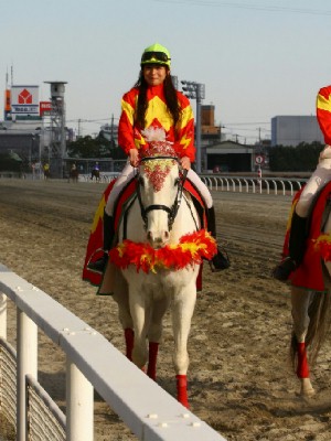 川崎競馬の誘導馬　１月開催　佐々木竹見カップＶｅｒ　その１　シロくん１