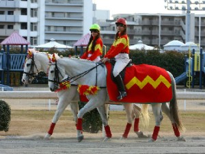 川崎競馬の誘導馬　１月開催　佐々木竹見カップＶｅｒ　その２