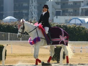 川崎競馬の誘導馬　１月開催　平場正装Ｖｅｒ　ユーちゃん　１
