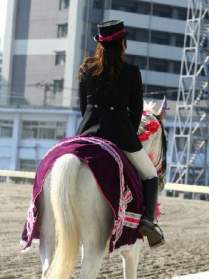 川崎競馬の誘導馬　１月開催　平場正装Ｖｅｒ　ユーちゃん　３