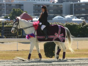 川崎競馬の誘導馬　１月開催　正装Ｖｅｒ　シロくん　２