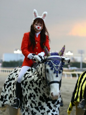 川崎競馬の誘導馬　１月開催　猛虎特別Ｖｅｒ　５