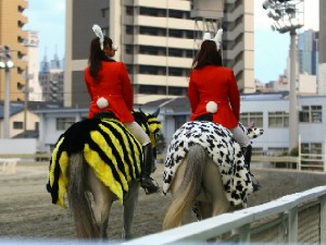 川崎競馬の誘導馬　１月開催　猛虎特別Ｖｅｒ　６