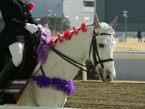 川崎競馬の誘導馬　１月開催平場Ｖｅｒ　トーチくん２