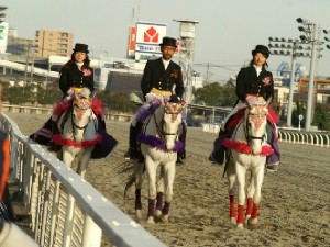 川崎競馬の誘導馬　１月Ｇ１Ｖｅｒ　３頭立て
