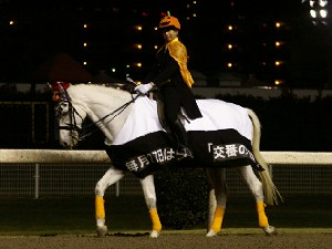 川崎競馬の誘導馬　パトロールホース　２