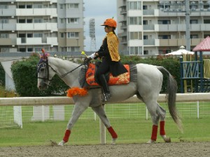川崎競馬の誘導馬　１０月　通常Ｖｅｒ　トーチくん１