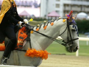 川崎競馬の誘導馬　１０月　通常Ｖｅｒ　トーチくん３