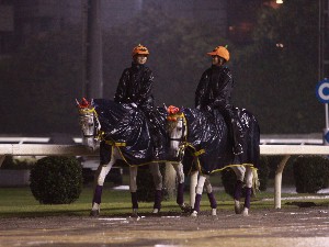 川崎競馬の誘導馬　１０月はハロウィン