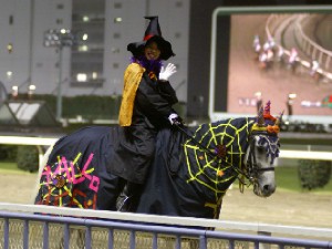 川崎競馬の誘導馬　１０月ハロウィン　雨の日　６