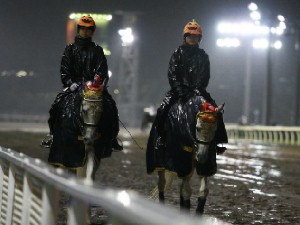 川崎競馬の誘導馬　１０月開催　ハロウィン重賞Ｖｅｒ