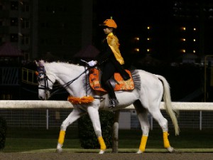 川崎競馬の誘導馬　１０月開催　ハロウィンＶｅｒ１　２