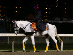 川崎競馬の誘導馬　１０月開催　ハロウィンＶｅｒ２　２
