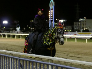 川崎競馬の誘導馬　１０月開催　電飾Ｖｅｒ４