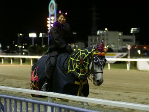 川崎競馬の誘導馬　１０月開催　電飾Ｖｅｒ５