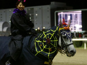 川崎競馬の誘導馬　１０月開催　電飾Ｖｅｒ６