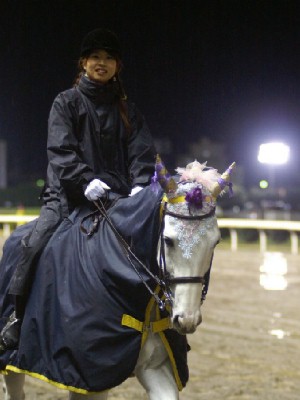 川崎競馬の誘導馬　１１月重賞　雨の日Ｖｅｒ　トライアンフトーチくん