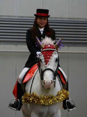 川崎競馬の誘導馬　１１月開催　ニンジンＶｅｒ　１