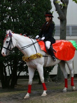 川崎競馬の誘導馬　１１月開催　ニンジンＶｅｒ　２