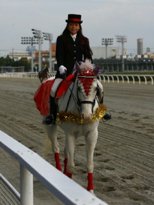 川崎競馬の誘導馬　１１月開催　ニンジンＶｅｒ　３