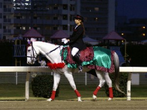 川崎競馬の誘導馬　１１月開催　バラＶｅｒ２