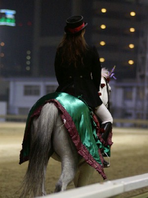 川崎競馬の誘導馬　１１月開催　バラＶｅｒ５