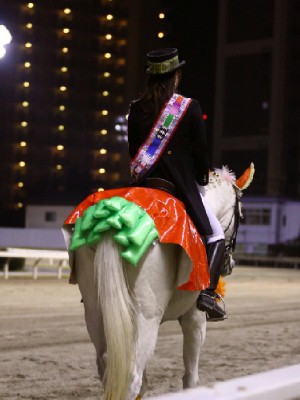 川崎競馬の誘導馬　１１月開催　川崎ジョッキーズカップ　４
