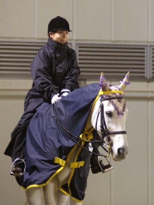 川崎競馬の誘導馬　１１月開催　川崎ジョッキーズＣＶｅｒ１