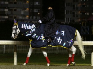 川崎競馬の誘導馬　１１月開催　川崎ジョッキーズＣＶｅｒ３