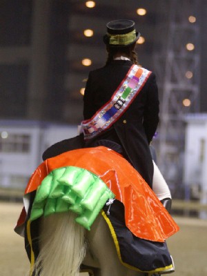 川崎競馬の誘導馬　１１月開催　川崎ジョッキーズＣＶｅｒ５